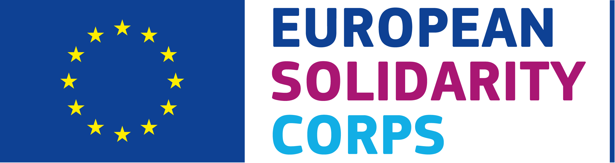 Billedresultat for european solidarity corps